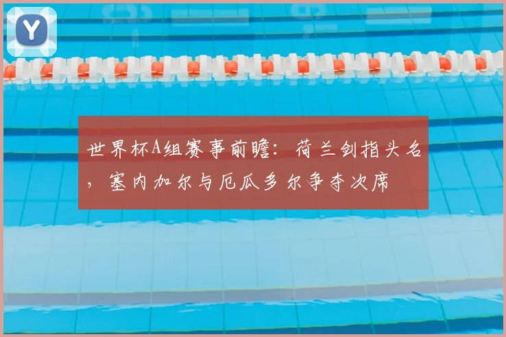世界杯A组赛事前瞻：荷兰剑指头名，塞内加尔与厄瓜多尔争夺次席