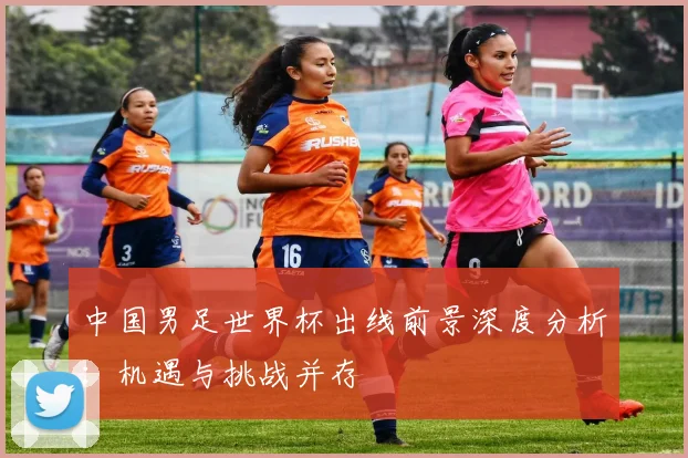中国男足世界杯出线前景深度分析:机遇与挑战并存