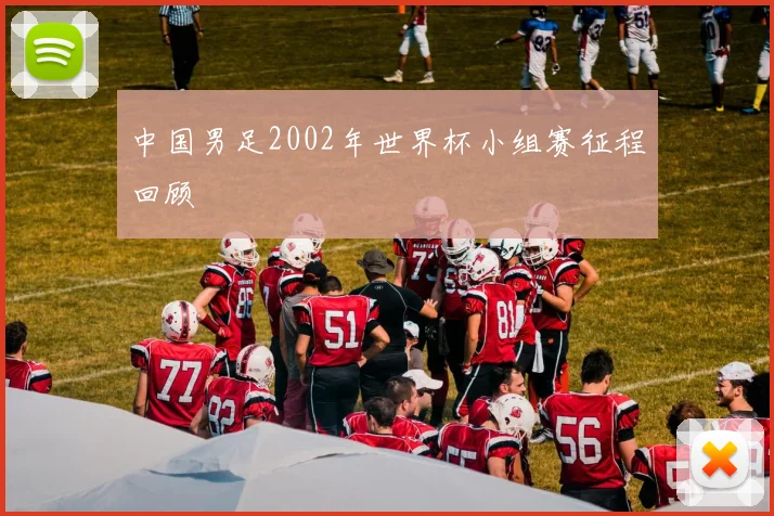 中国男足2002年世界杯小组赛征程回顾