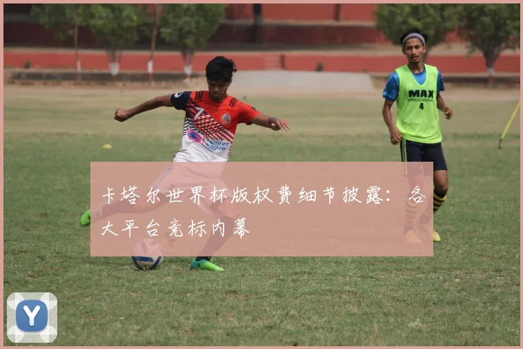 卡塔尔世界杯版权费细节披露：各大平台竞标内幕